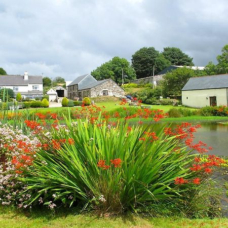 Polhilsa Farm Bed & Breakfast Callington Eksteriør bilde
