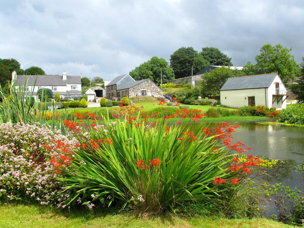 Polhilsa Farm Bed & Breakfast Callington Eksteriør bilde