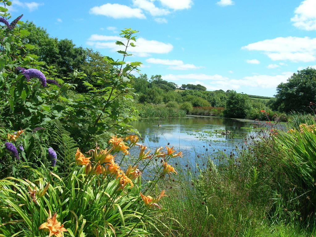 Polhilsa Farm Bed & Breakfast Callington Rom bilde