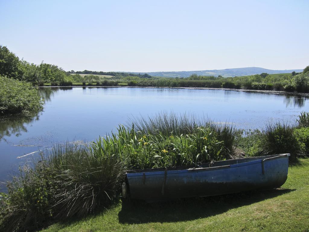 Polhilsa Farm Bed & Breakfast Callington Eksteriør bilde