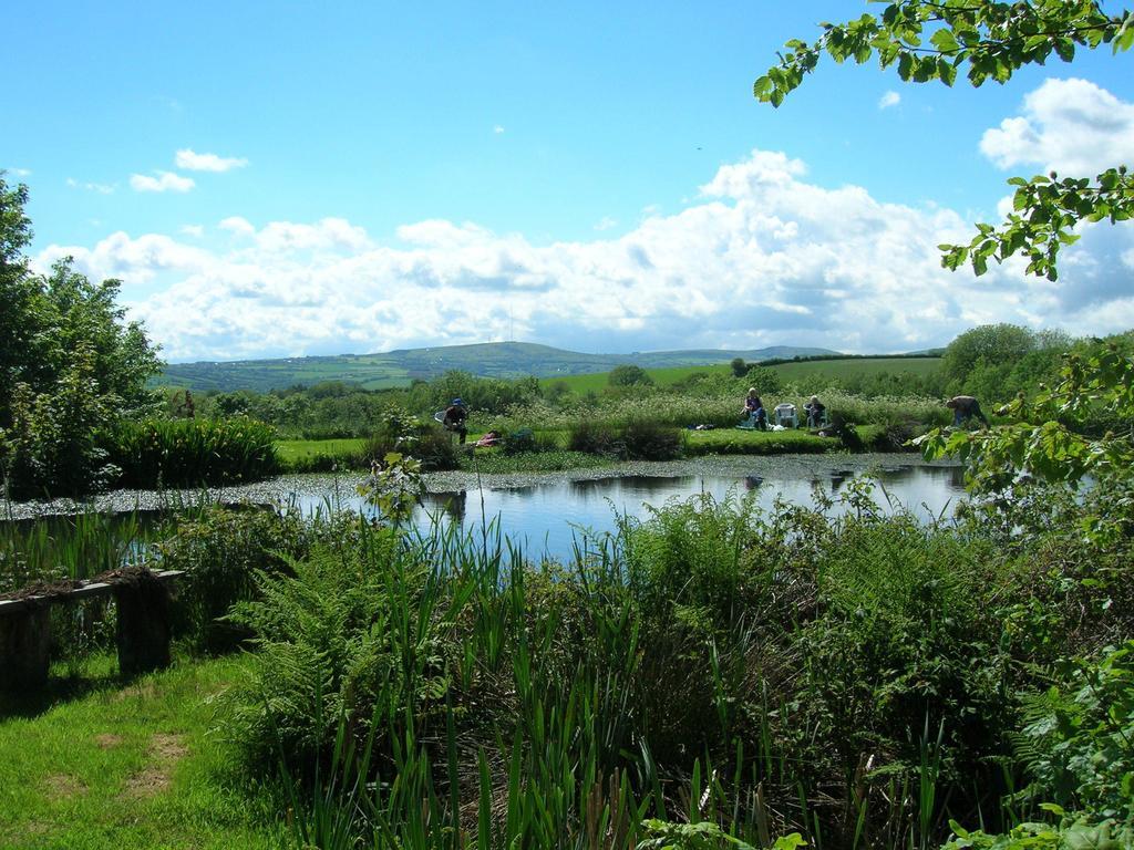 Polhilsa Farm Bed & Breakfast Callington Eksteriør bilde