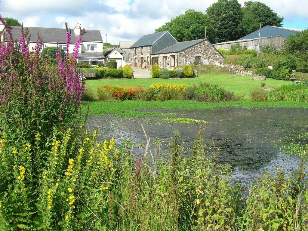 Polhilsa Farm Bed & Breakfast Callington Rom bilde
