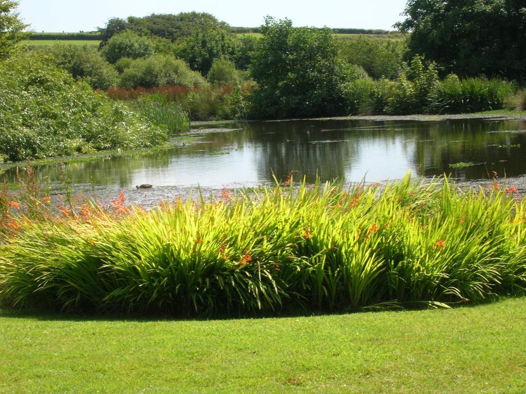 Polhilsa Farm Bed & Breakfast Callington Eksteriør bilde